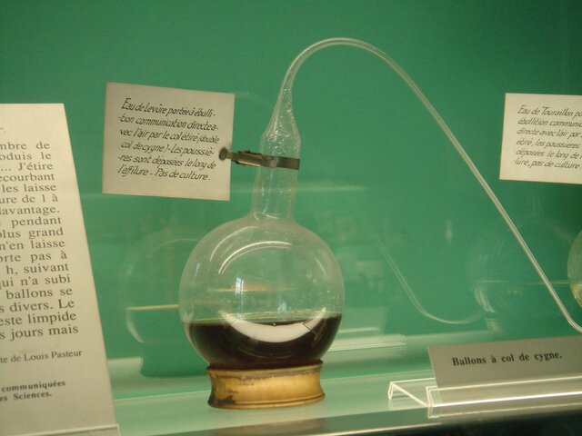 Se refuta experimentalmente la teoria de la generacion espontanea.