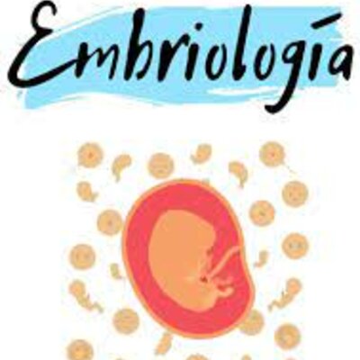Timeline: Desarrollo de la Embriología