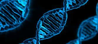 Avery , MacLeod y McCarthy