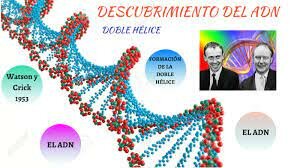 Descubrimiento del ADN