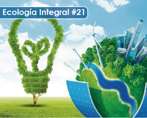 Conferencia de las Naciones Unidas sobre el Medio Ambiente y el Desarrollo