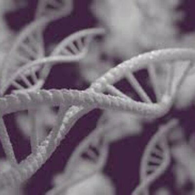 Timeline: HISTORIA DE LA BIOLOGIA Y LA TEORIA CELULAR