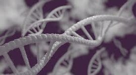 Timeline: HISTORIA DE LA BIOLOGIA Y LA TEORIA CELULAR