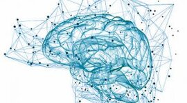 Timeline: Línea del Tiempo Neuropsicología Clínica