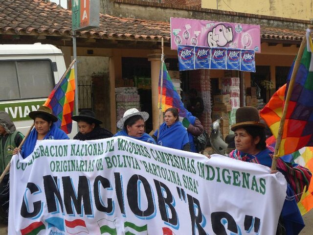 Federación nacional de mujeres campesinas de Bolivia bartolina sisa