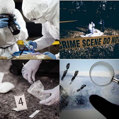 Timeline: ANTECEDENTES DE LA CRIMINALISTICA