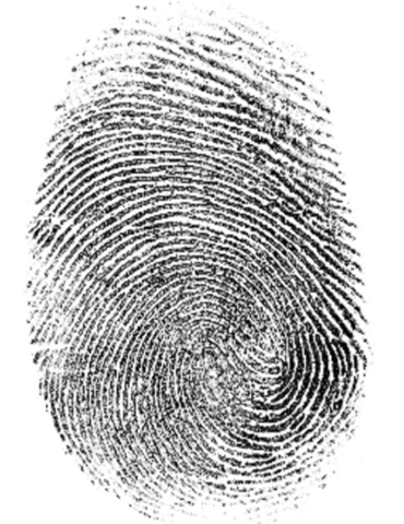 Huellas dactilares