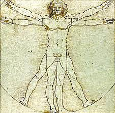 ETAPAS DEL HUMANISMO