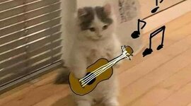 Timeline: Evolution of music