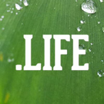 Timeline: Team 1_EV1_LNdV