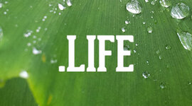 Timeline: Team 1_EV1_LNdV