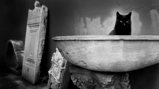 LA ENFERMEDAD Y LA SUPERSTICIÓN