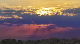 Timeline: HISTORIA MEDIOAMBIENTAL EN COLOMBIA