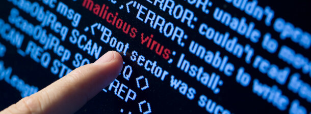 Primer virus
