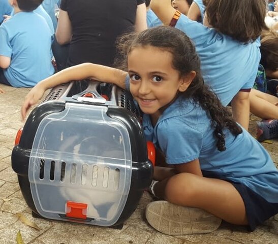 Em 2017 me mudei para BH, adotamos o Paçoca e entrei no Marista