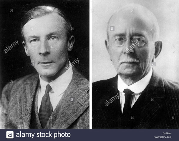 Sinapsis y propiocepcion