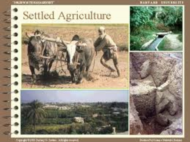 The Beginning of Settled Agriculture,8,000 to 6,500 BC