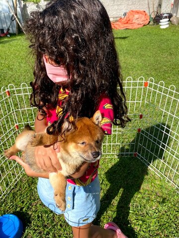 Primeiro encontro com a Chika
