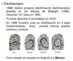 TIPOS DE HUELLAS DACTILARES