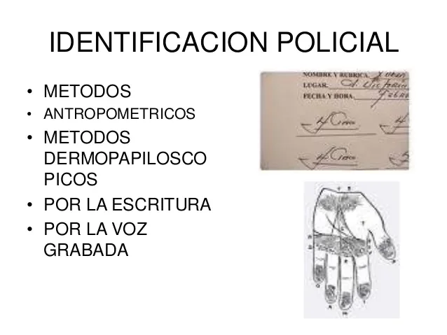 IDENTIFICACION POLICIAL