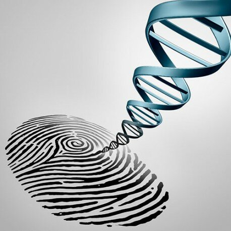 HUELLAS GENETICAS