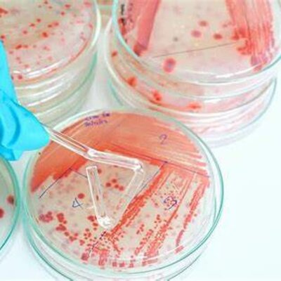 Timeline: MICROBIOLOGIA EN SU CONTEXTO HISTORICO