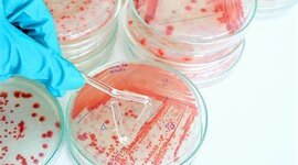 Timeline: MICROBIOLOGIA EN SU CONTEXTO HISTORICO