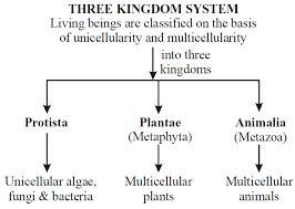 System of 3 Kingdoms of living beings