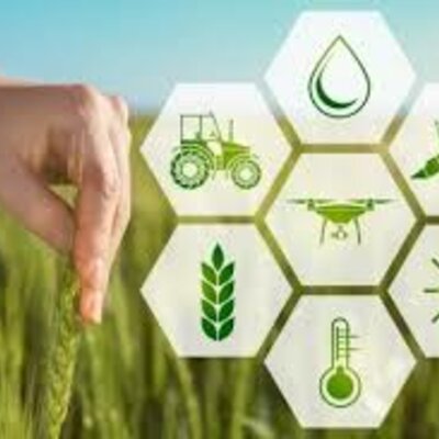 Timeline: Evolução da Alimentação humana