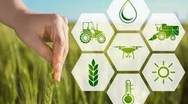 Timeline: Evolução da Alimentação humana