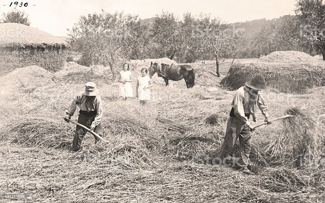 Aprovação de regulamentos sobre a defesa sanitária animal e vegetal,