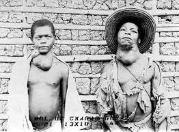 Controle do Bócio Endêmico