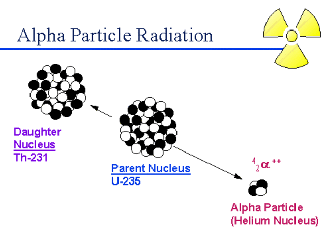 Rutherford studied uranium and thorium, and discovered alpha and beta particles.