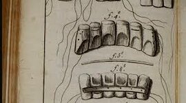 Timeline: Acontecimientos en la historia de la Odontología
