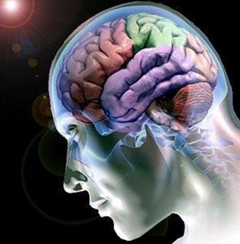 Se reconoce la "Planotopoquinesia"