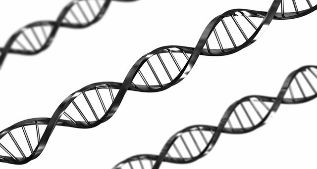 The first Draft 2001