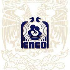 La licenciatura en Enfermería y Obstetricia. ENEO-UNAM