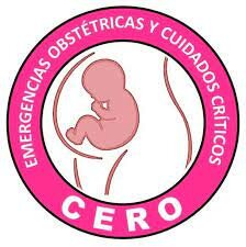 Respuesta al desafío del ODM 5 de reducción de la mortalidad materna