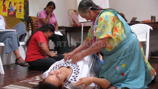 Nacimiento de la Partería Profesional.