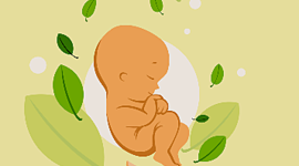 Timeline: Antecedentes históricos de la Enfermería Gineco-Obstetra en México