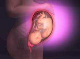 Avance gineco-obstetricia