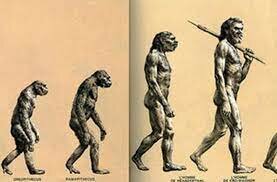 When did modern humans appear?