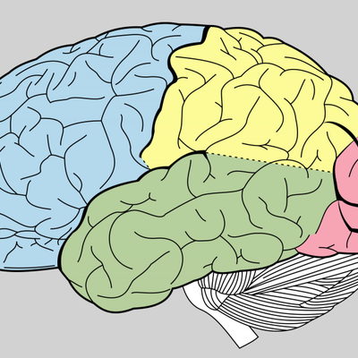Timeline: Neuropsicología Clínica