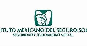 Instituto  Mexicano del Seguro Social (IMSS).