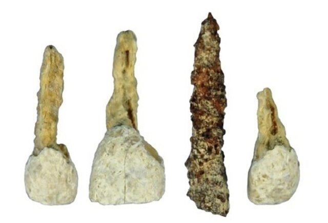 Primer implante dental (prehistoria)