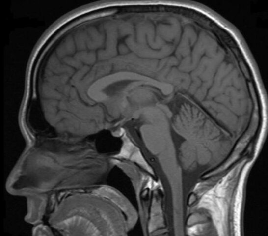 Periodo Contemporáneo