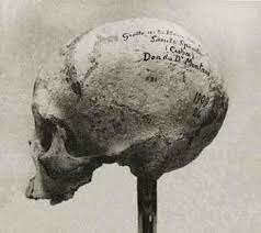 Sociedad Antropológica de París