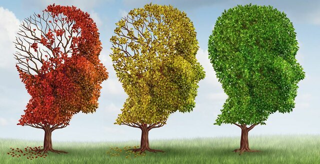 Neuropsychological Rehabilitation