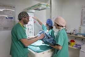 Creación de la Licenciatura en enfermería y obstetricia.