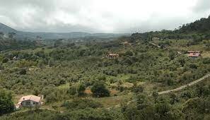 Acuerdo 33 de 1979, CAR